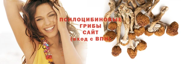 круглые Алзамай