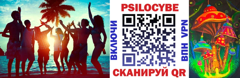 Псилоцибиновые грибы ЛСД  omg ССЫЛКА  Алушта 